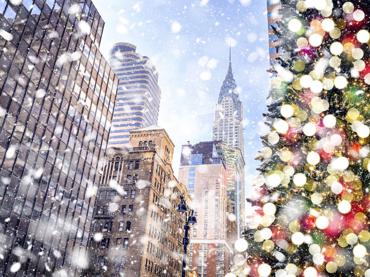 Christmas tree, snow and New York City