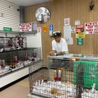 Brooklyn pet shop owner