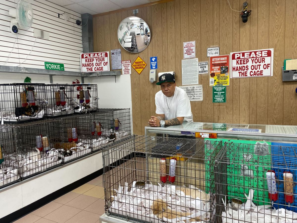 Brooklyn pet shop owner