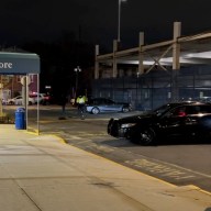 Police in the Bronx at scene of hit-and-run crash