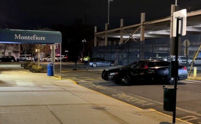 Police in the Bronx at scene of hit-and-run crash