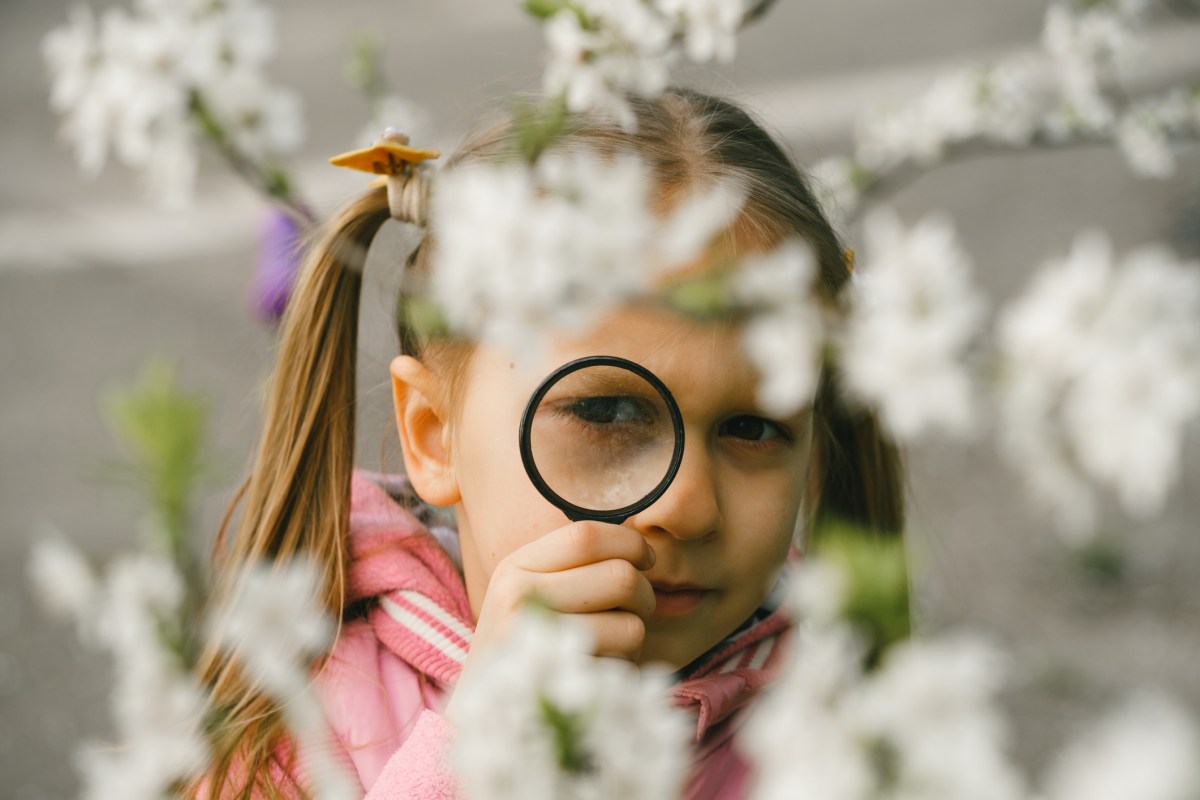 Kid learning about environment. Natural education activity for World Earth day. Exploring in spring, blooming flowers in the garden. Serious girl looking though the magnifying glass