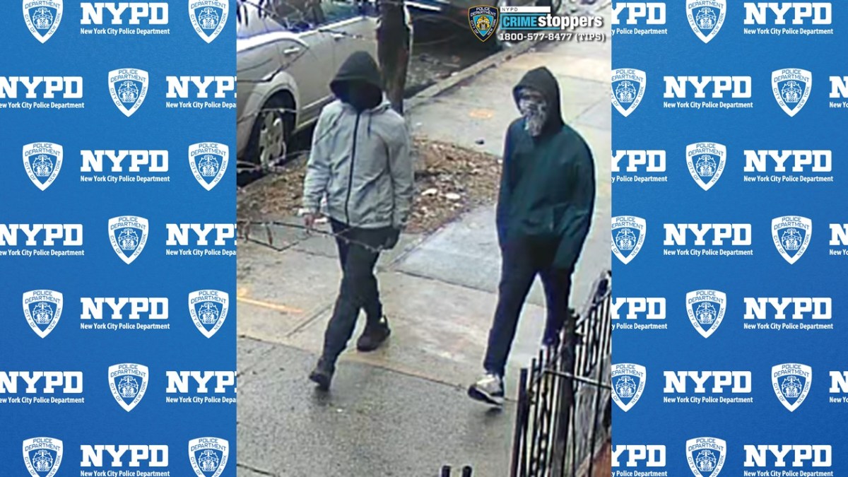 Brooklyn shooting suspects