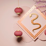 year of the snake visual concept