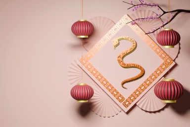 year of the snake visual concept