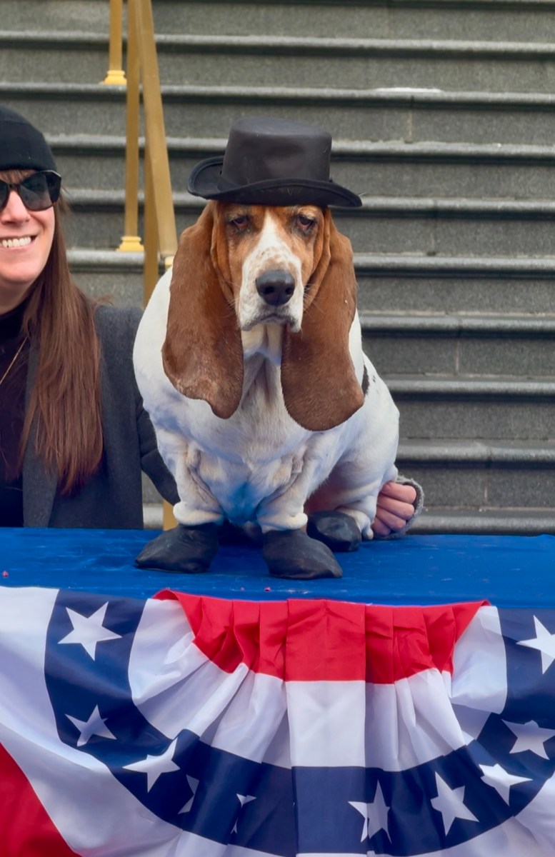 Sally Long Dog in her mayor top hat