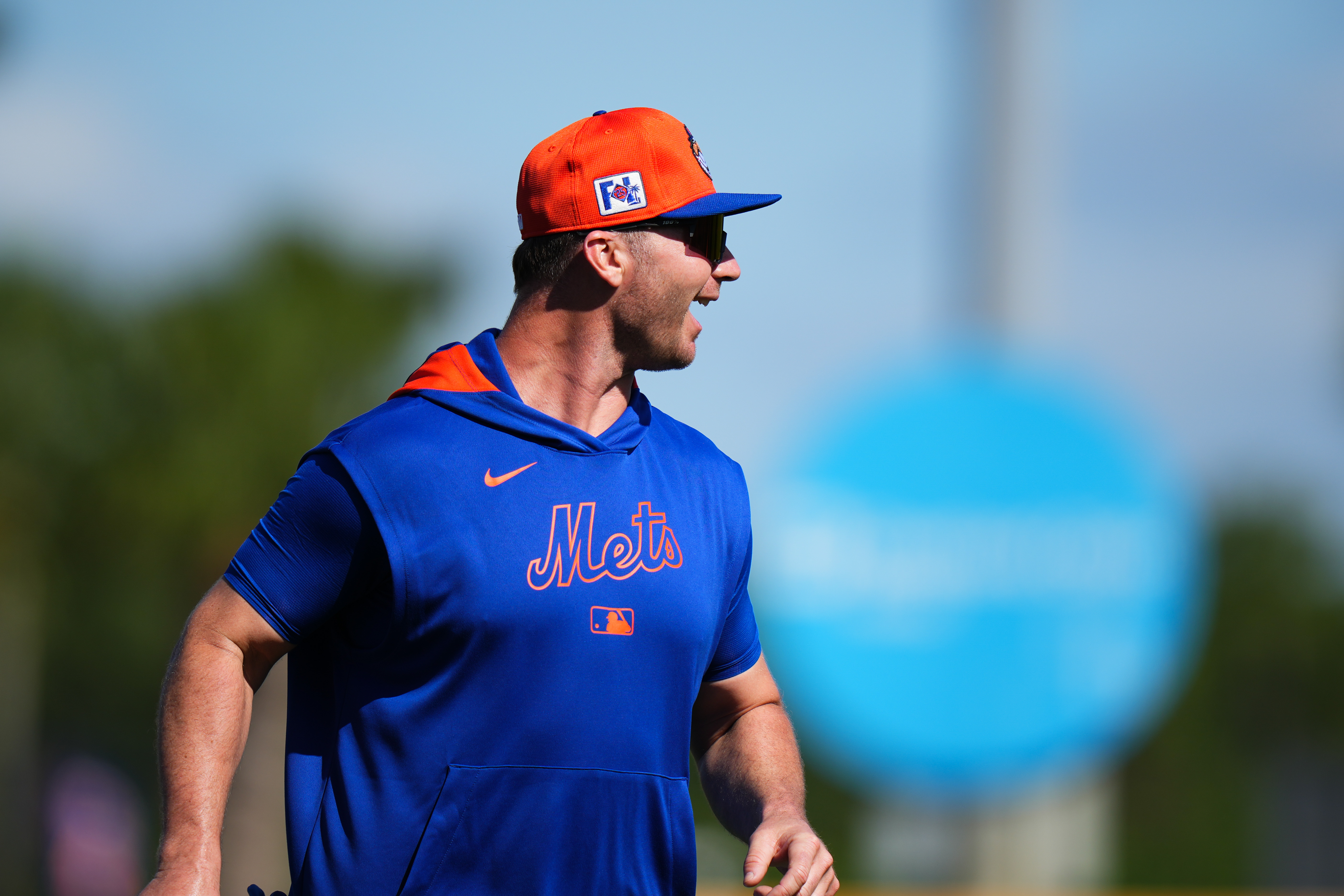 Pete Alonso Mets