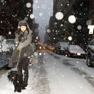 Woman walking dog in NYC street as PAWS Act considered