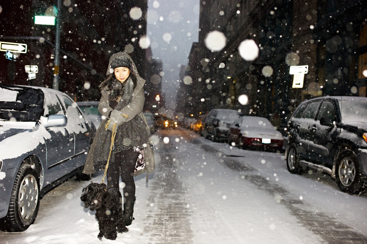 Woman walking dog in NYC street as PAWS Act considered