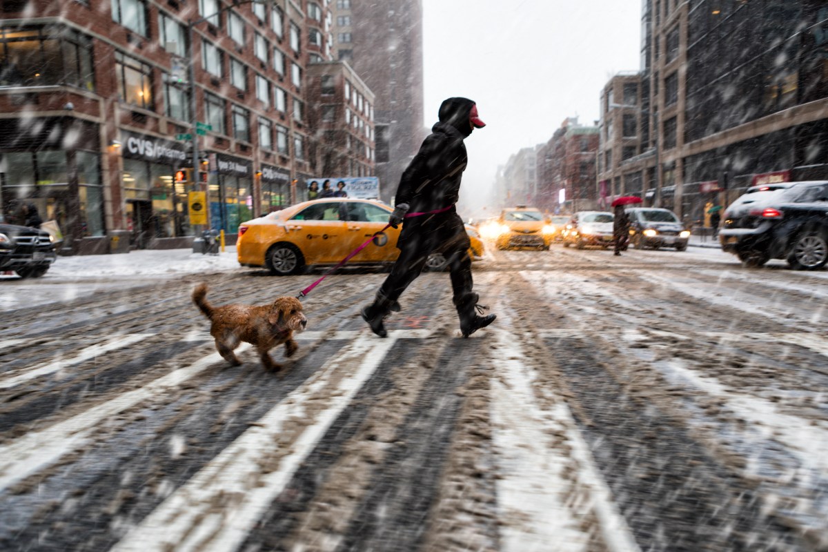 Person walking dog on snowy street