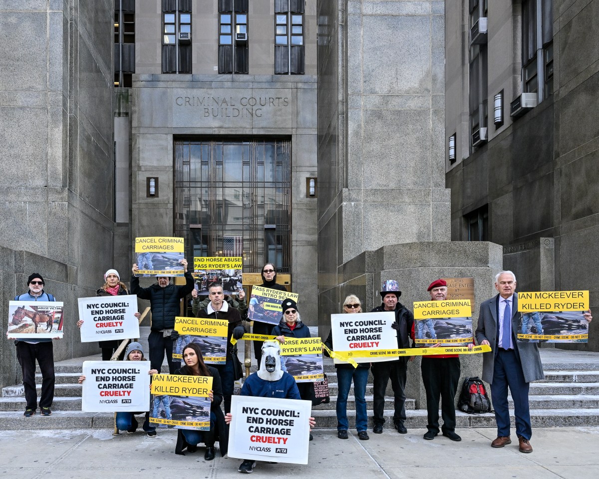 NYCLASS and animal rights activists rallied outside the Criminal Courthouse  calling on the city council to pass Ryder's Law. 