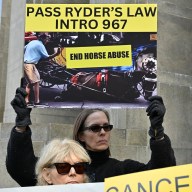 NYCLASS and animal rights activists rallied outside the Criminal Courthouse calling on the city council to pass Ryder's Law. Photo by Gabriele Holtermann