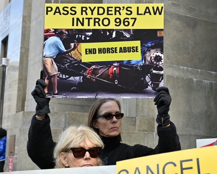 NYCLASS and animal rights activists rallied outside the Criminal Courthouse calling on the city council to pass Ryder's Law. Photo by Gabriele Holtermann