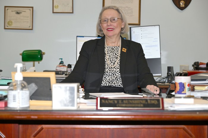 Kings County Clerk Nancy Sunshine