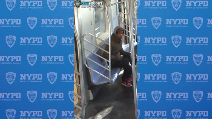 suspect who allegedly assaulted a man on a Brooklyn train