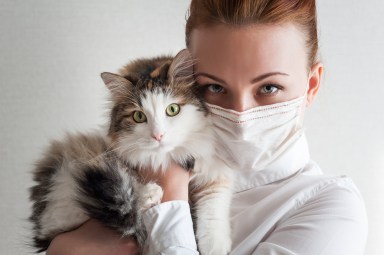 Woman in mask holding cat sick with bird flu