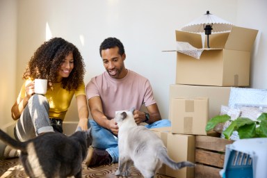 Smiling mid adult couple sitting with cats by stack of boxes. Man and woman are taking break from relocation. They are at new home.