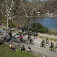 Bicyclists and people on Central Park roadway