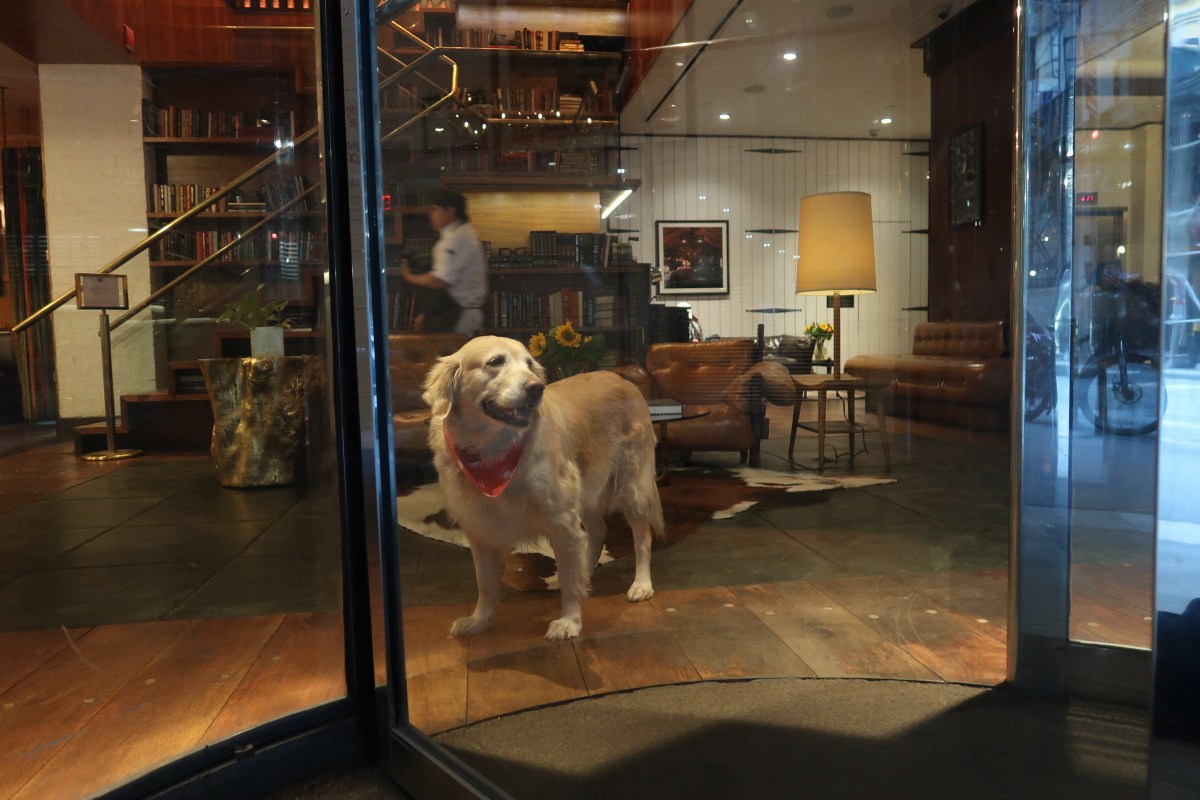 Maya waits to greet guests at the Gild Hall Hotel.