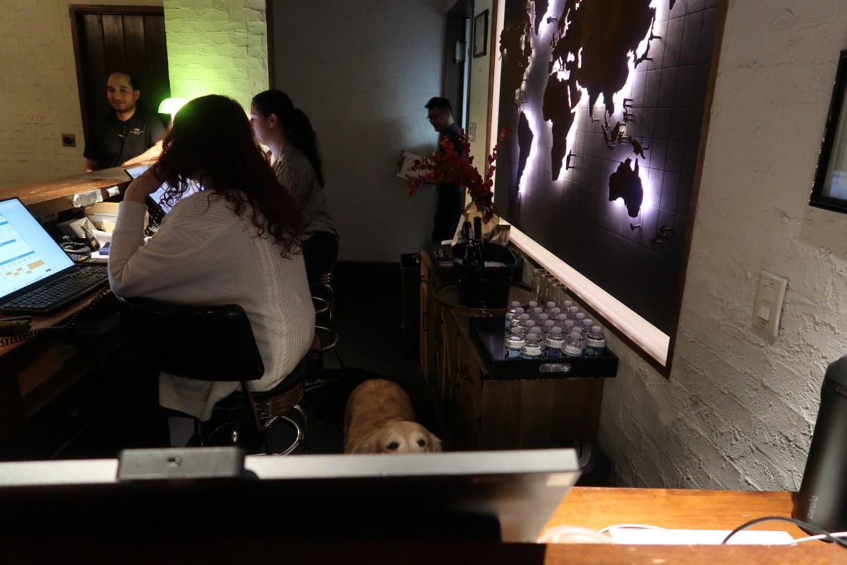 maya behind the desk of the Gild Hall Hotel