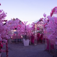 The Spring Fling Cherry Blossom Festival is open at the Watermark restaurant at the Seaport.