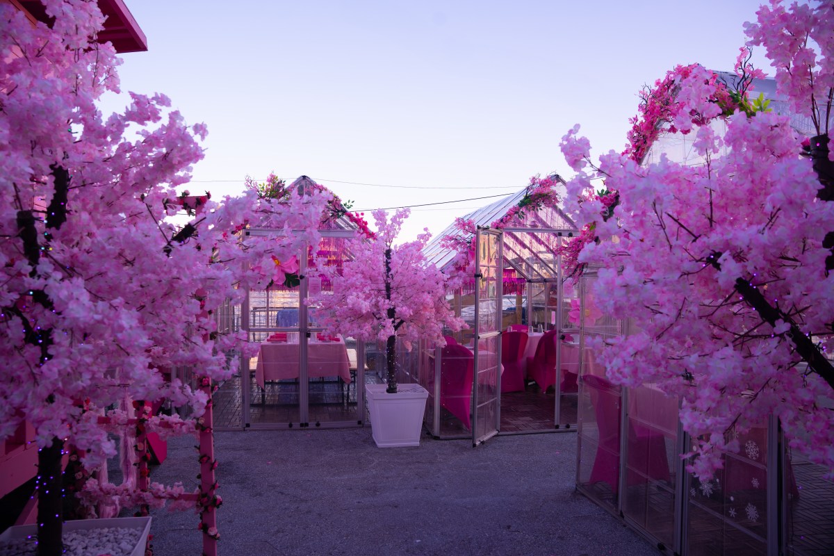 The Spring Fling Cherry Blossom Festival is open at the Watermark restaurant at the Seaport.