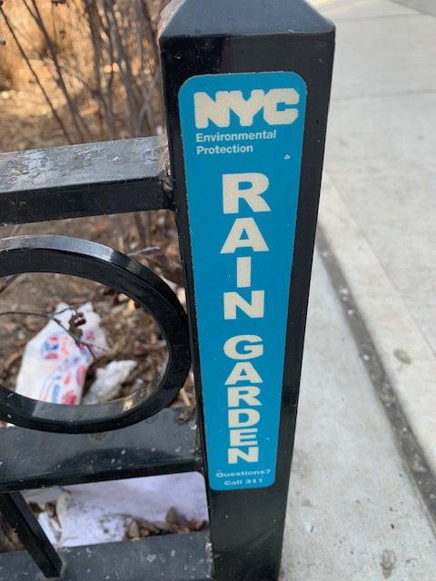 one of many rain gardens in NYC