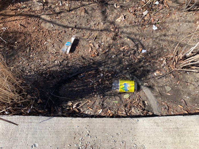 one many rain gardens in NYC that is filled with litter