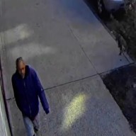 Image of Bronx brute who attacked woman