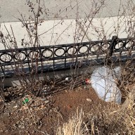 a rain gardein next to a NYC street with litter inside