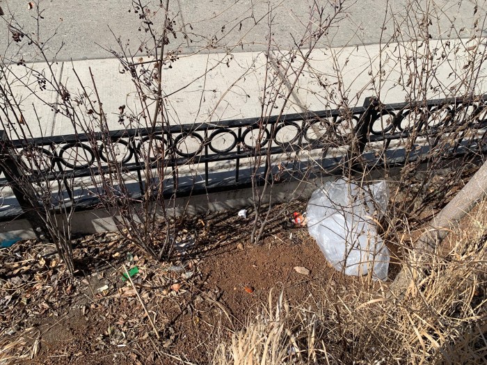 a rain gardein next to a NYC street with litter inside